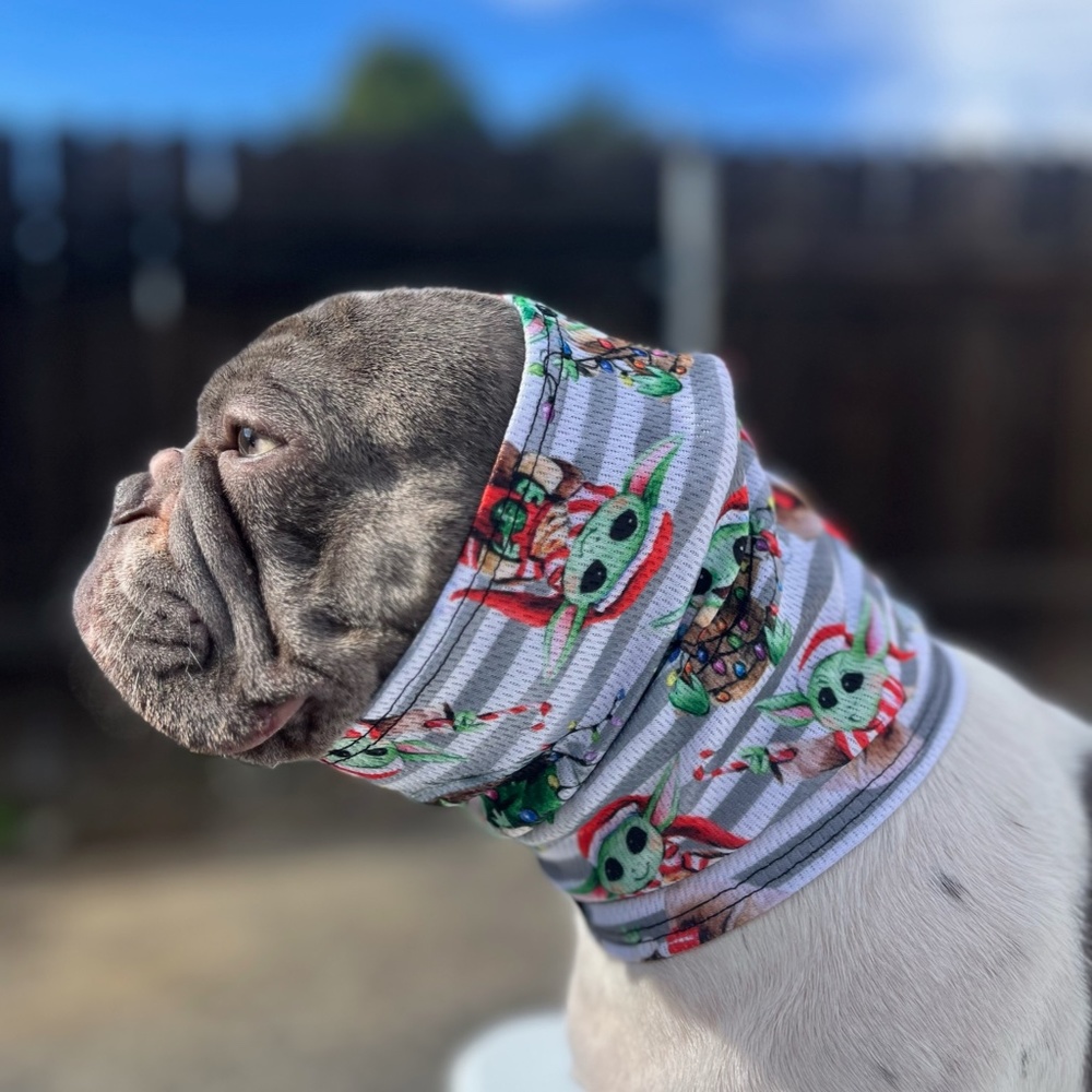 Baby Yoda Dog Gaiter-By Hercules Dog Gaiters